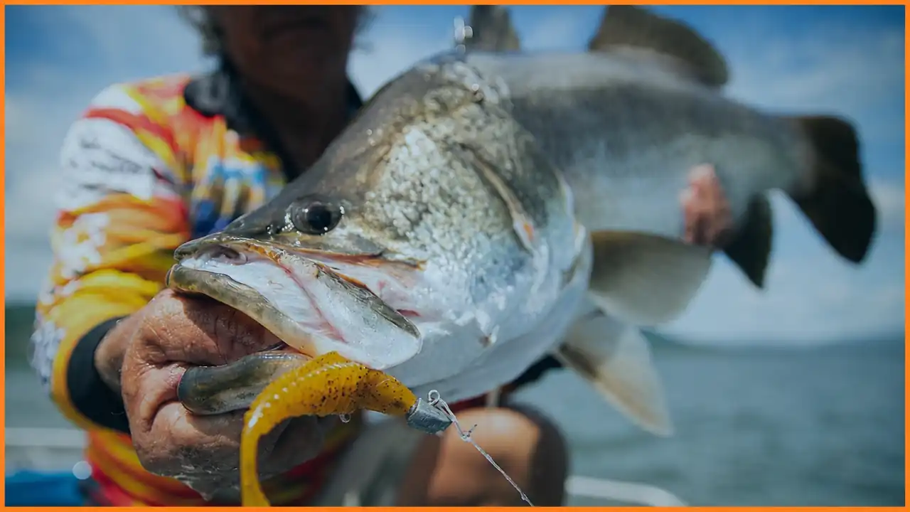 Workshop video thumbnail