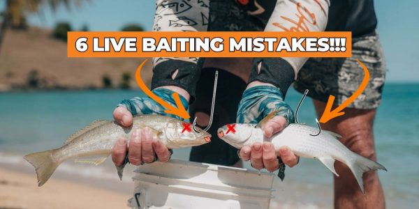 260320 - 6 Live Bait Mistakes - THUMBNAIL Website