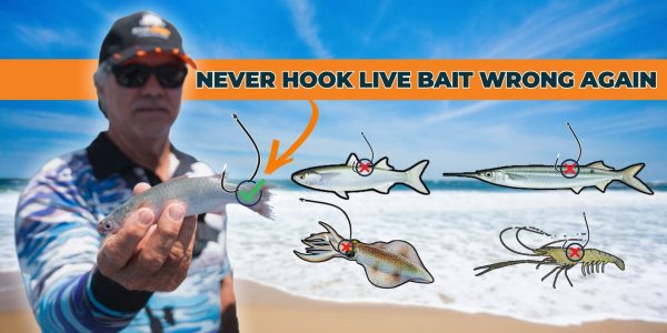 260320 - How to pin a live bait- THUMBNAIL Website