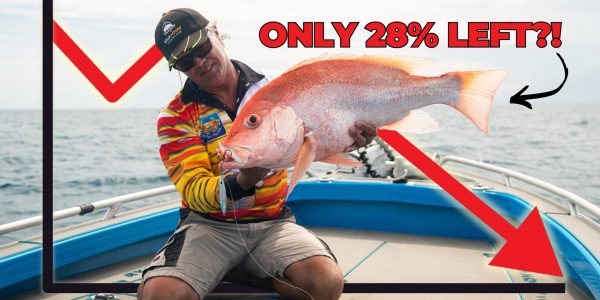 260414 - Fishing Rules in QLD - THUMBNAIL Website