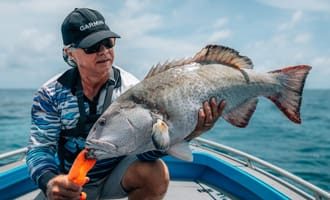 Coral Trout / Grouper