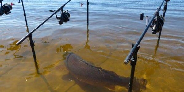 big fish under lures fishing fail