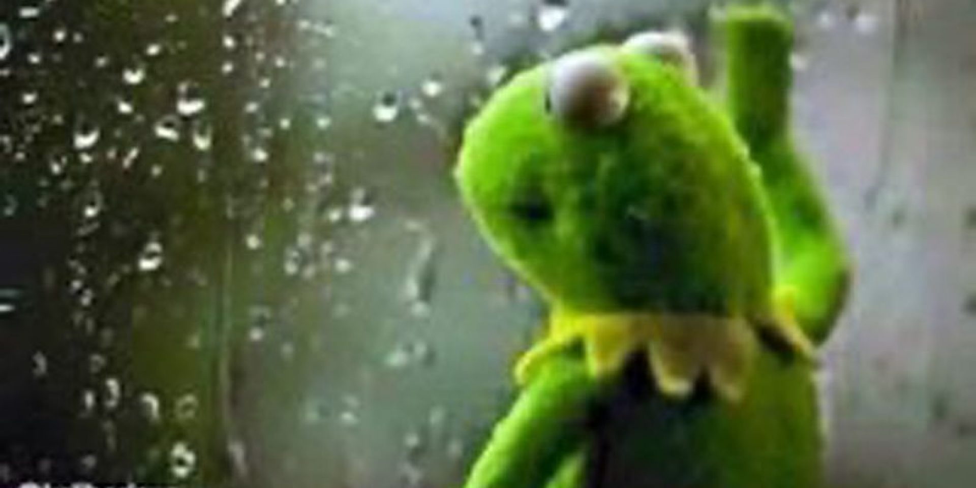 Kermit800