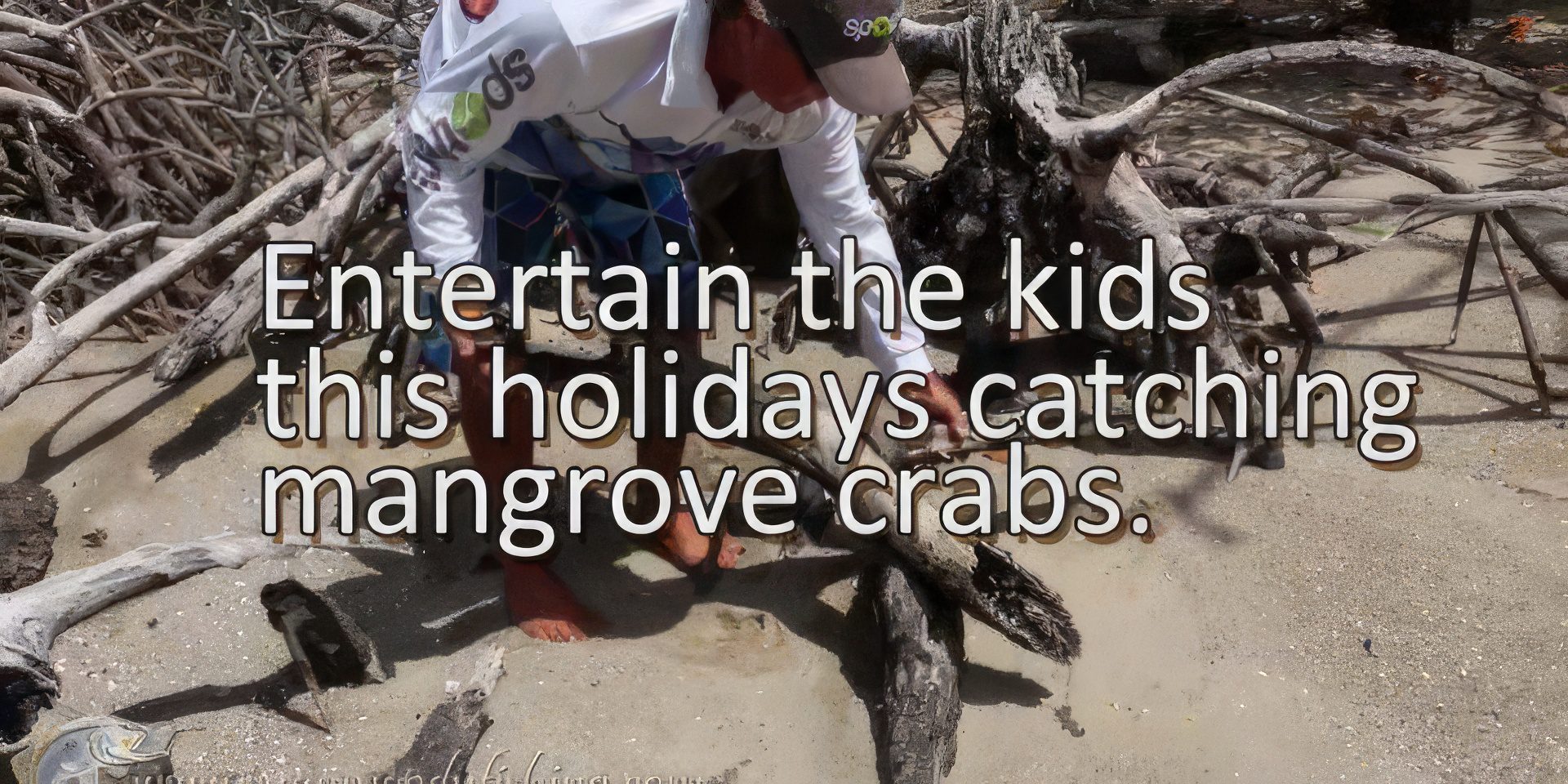 kids-driving-you-mad-entertain-them-by-catching-mangrove-crabs