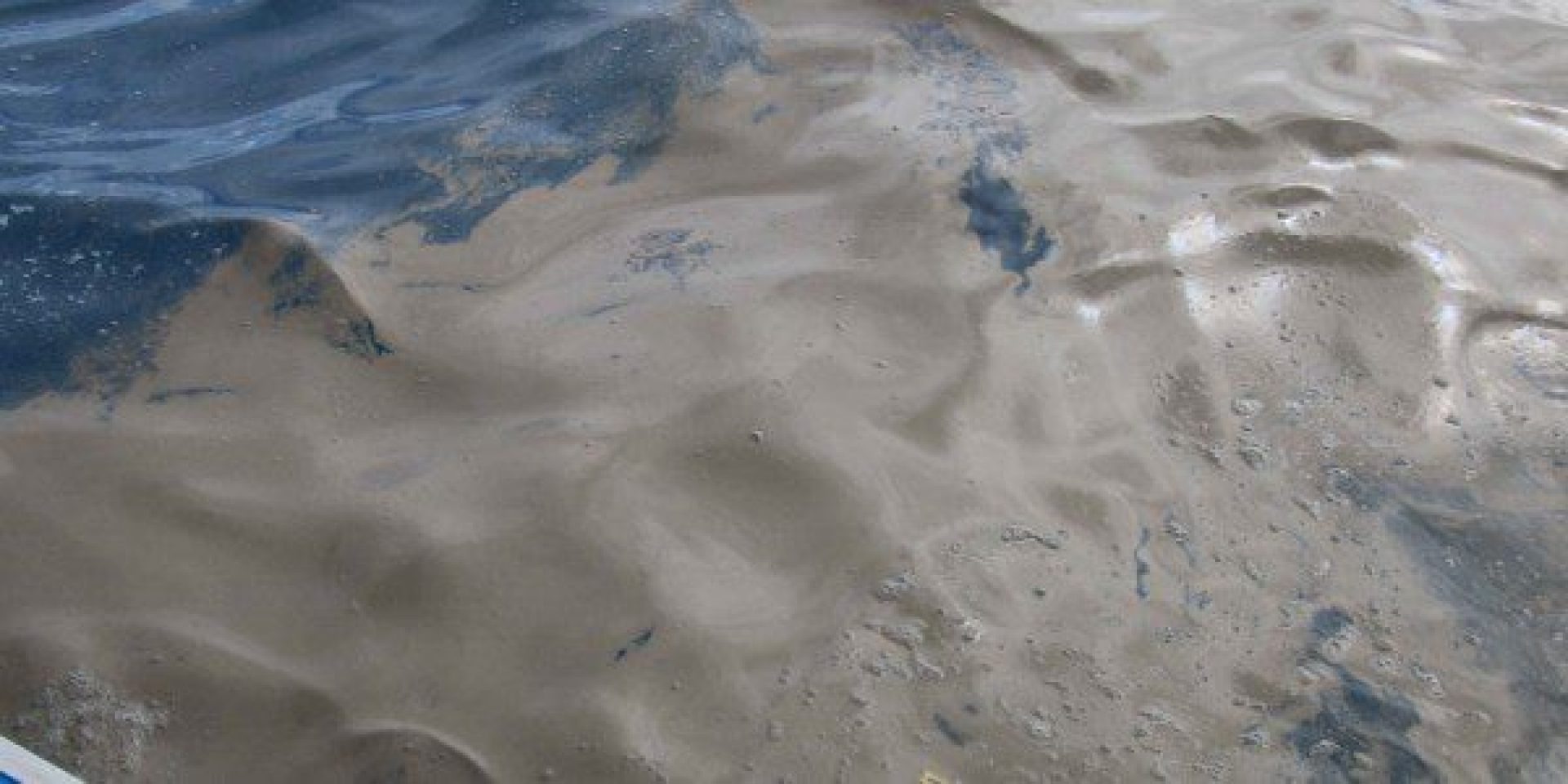red-tide-algal-boom-is-not-coral-spawn-800x533-600x300